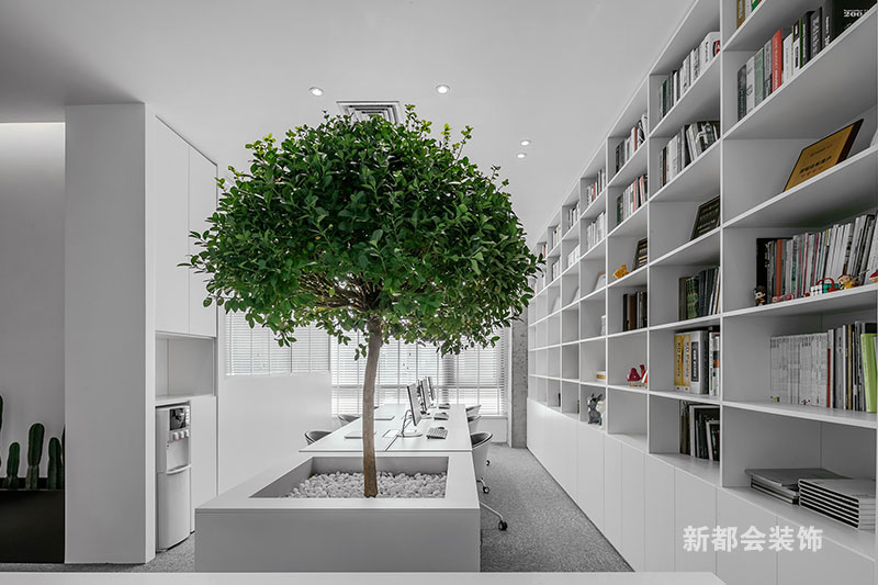 主辦公區搭配文件陳列柜