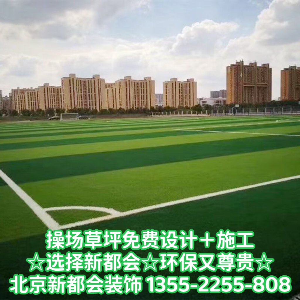 體育操場操場環保草坪